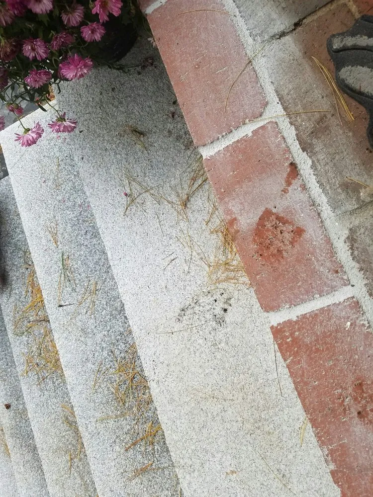 Affordable landscaping services for beautiful yards in Milford, NH by Randy Gagnon EarthWorks, LLC