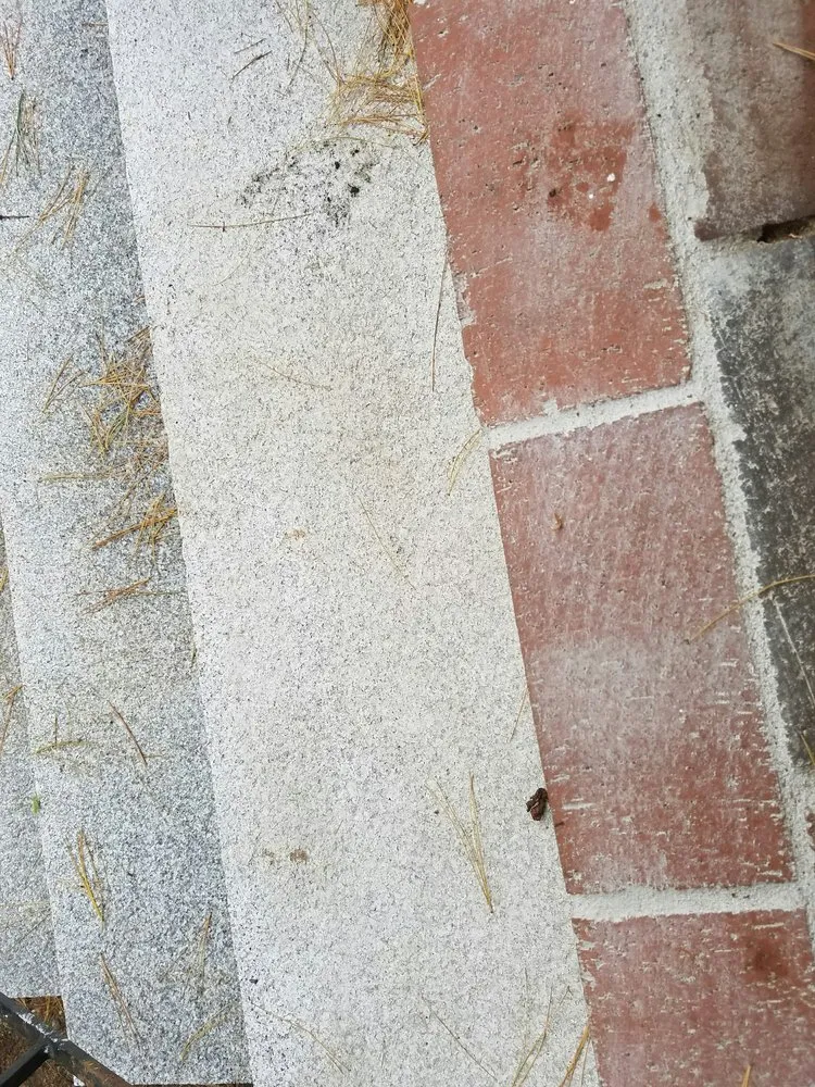 Top-rated yard maintenance for year-round maintenance across Milford, NH - Randy Gagnon EarthWorks, LLC