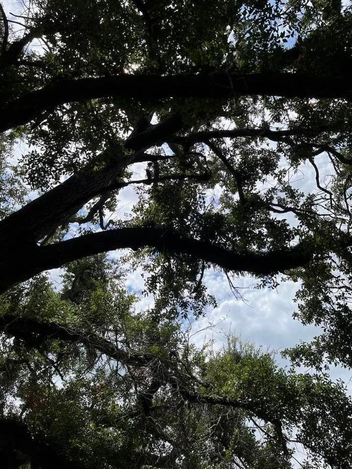 Custom garden landscaping with custom design across Luling, LA - Randy Graver Services