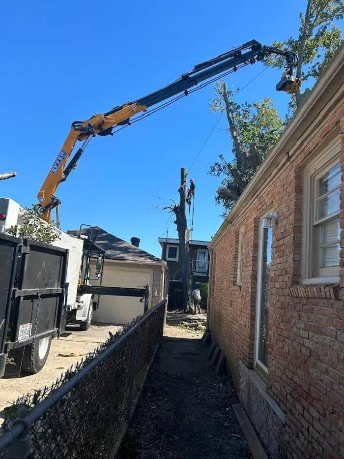 Affordable landscape design experts serving Luling, LA - Randy Graver Services