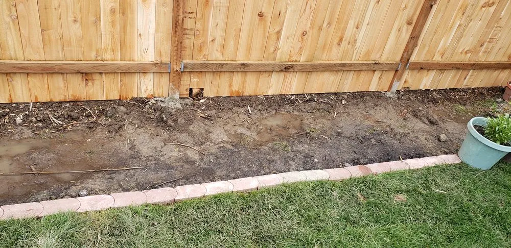 Top-rated yard cleanup service for year-round maintenance across Beaverton, OR - Randy Landscaping Services