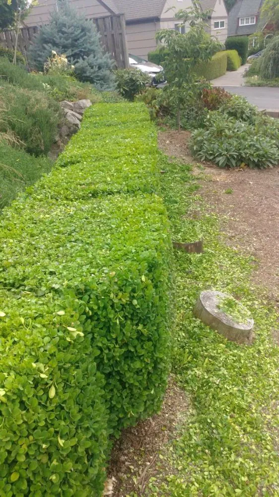 Trusted landscape design experts serving Beaverton, OR - Randy Landscaping Services