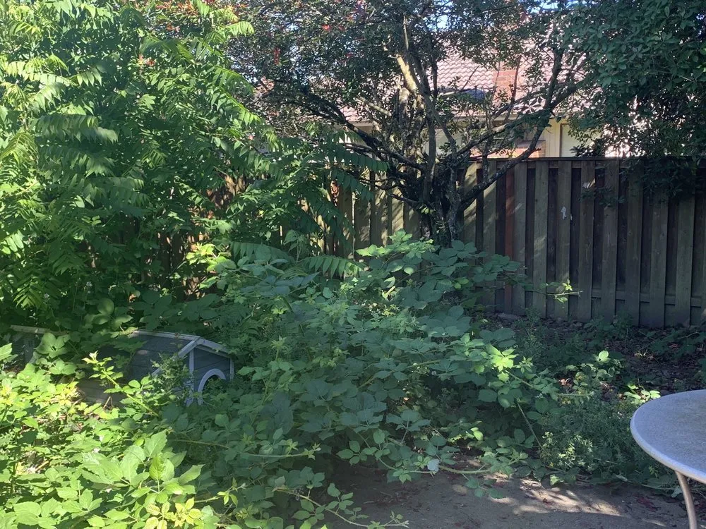 Custom garden landscaping experts serving Beaverton, OR - Randy Landscaping Services