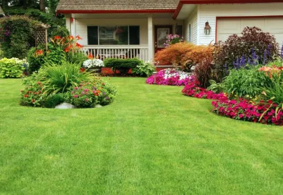 Trusted lawn mowing service in Schertz, TX by Randy Lawn Care