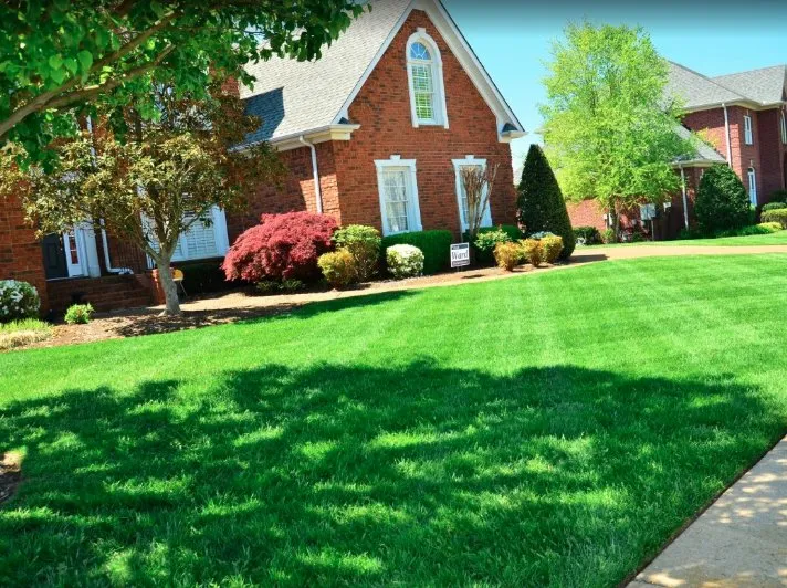 Top-rated landscape installation in Schertz, TX by Randy Lawn Care