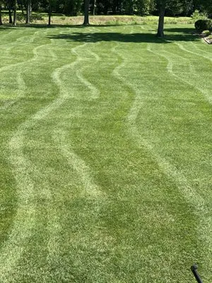 Randy Lawrence Lawn Care Logo