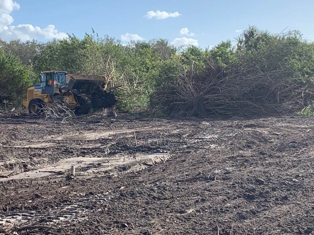 Expert outdoor landscaping experts serving Riverview, FL - Randy Talaski