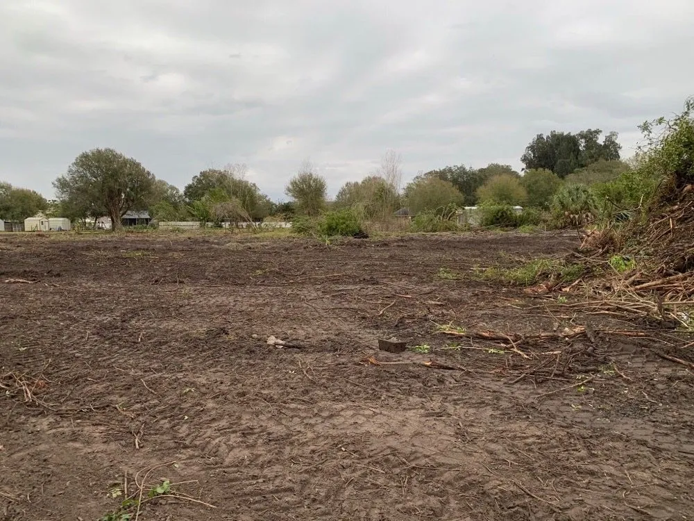 Trusted outdoor landscaping for beautiful yards across Riverview, FL - Randy Talaski