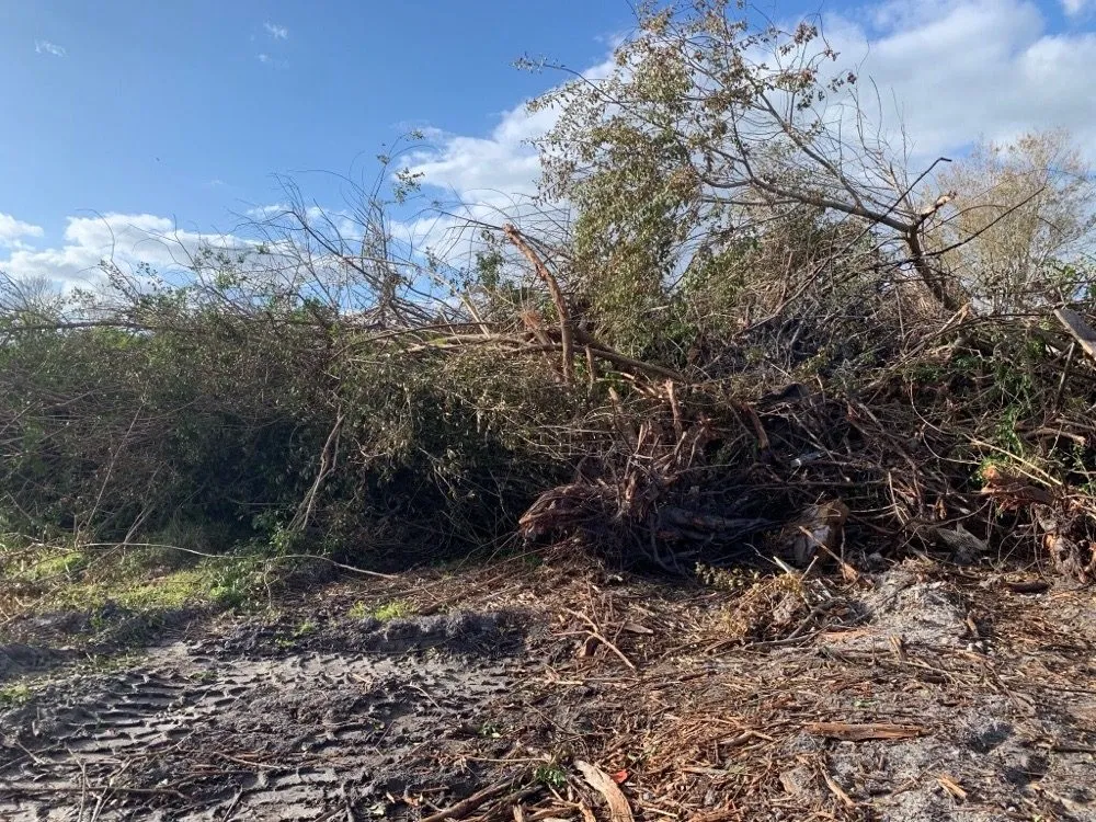 Reliable landscaping services in Riverview, FL by Randy Talaski