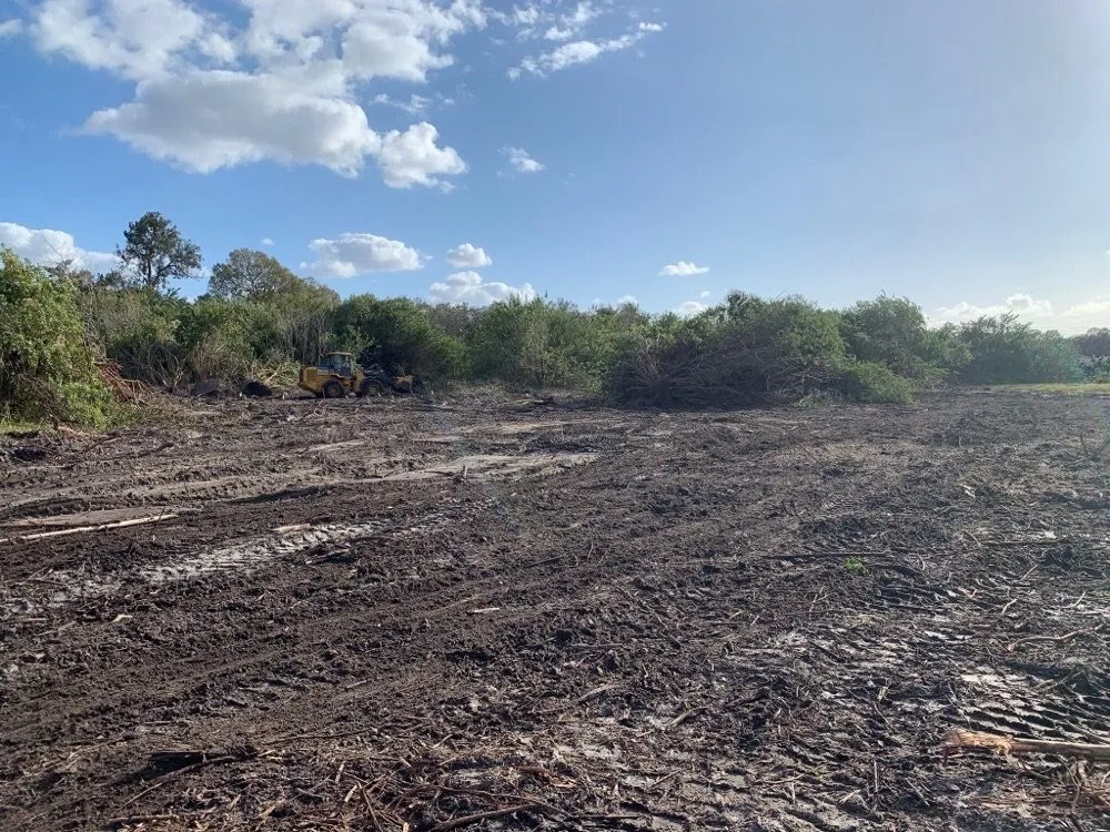 Custom landscape design for beautiful yards in Riverview, FL by Randy Talaski