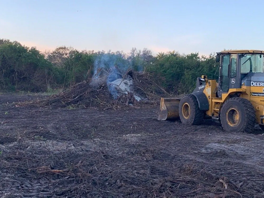 Professional garden landscaping with custom design in Riverview, FL by Randy Talaski