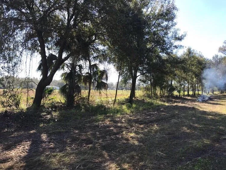 Custom landscape installation for outdoor upgrades across Riverview, FL - Randy Talaski