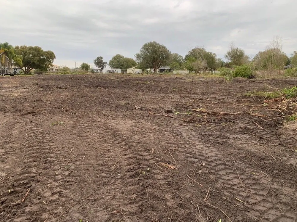 Custom landscape design for outdoor upgrades across Riverview, FL - Randy Talaski