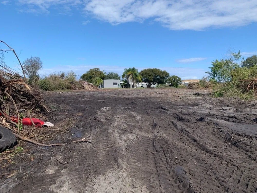 Expert yard cleanup service in Riverview, FL by Randy Talaski