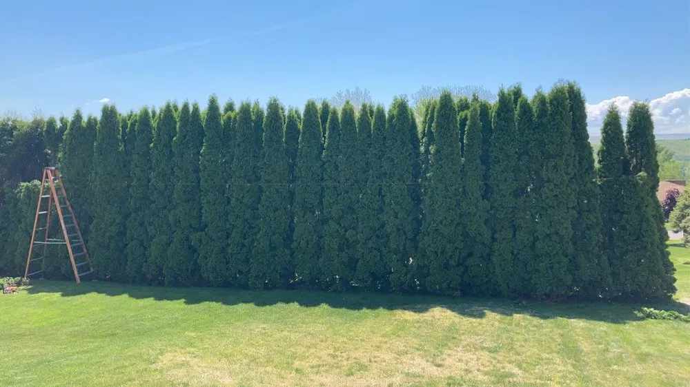 Expert landscaping services for year-round maintenance in New Milford, PA by Randy’s Landscaping