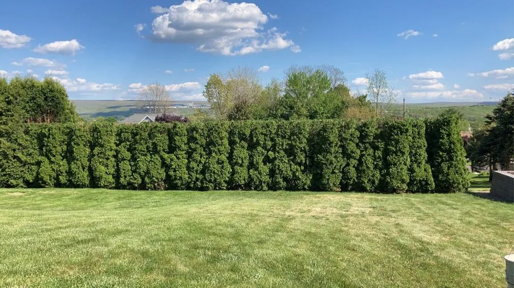 Top-rated landscape design near you in New Milford, PA by Randy’s Landscaping