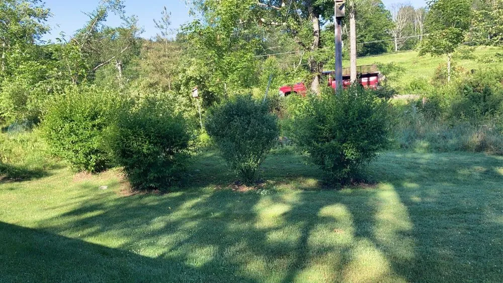 Reliable yard maintenance in New Milford, PA - Randy’s Landscaping