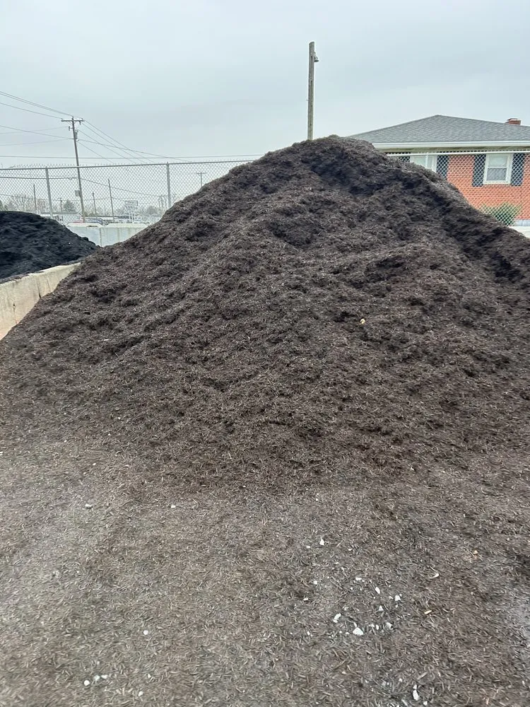 Reliable lawn care service in Fayetteville, PA - Randy's Lawn Care & Excavating