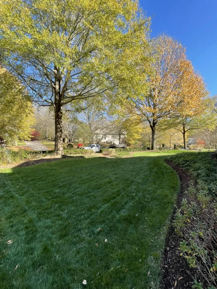 Expert landscape installation in Nashville, TN - Randy’s Lawn Care