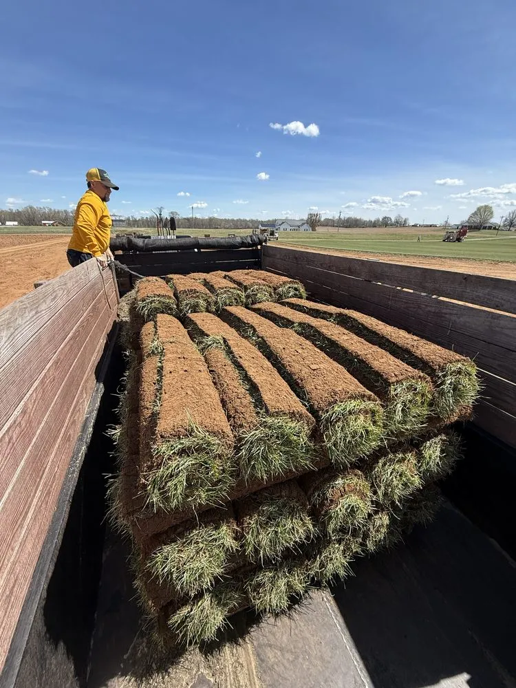 Reliable yard cleanup service for residential properties in Nashville, TN by Randy’s Lawn Care