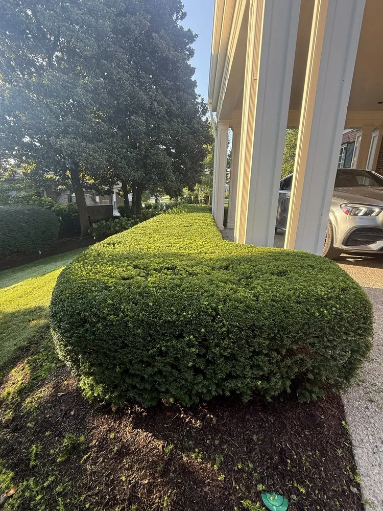 Expert lawn mowing service experts serving Nashville, TN - Randy’s Lawn Care