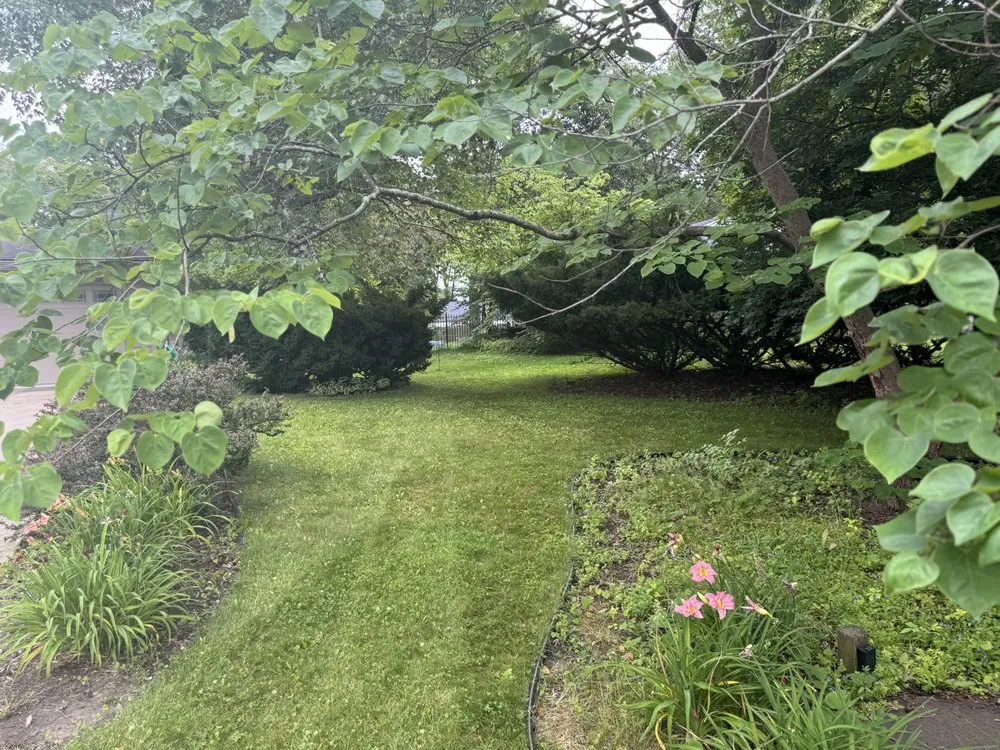 Affordable residential landscaping for residential properties in Saint Johns, MI by Randy’s Lawn Care