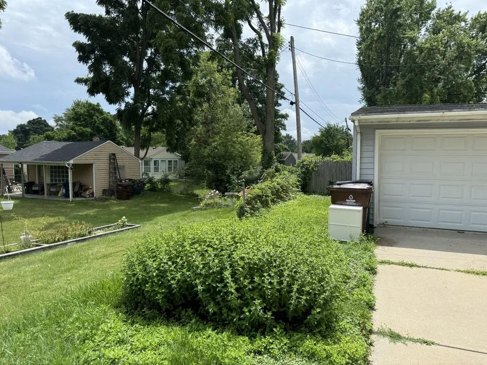 Top-rated yard maintenance in Saint Johns, MI by Randy’s Lawn Care