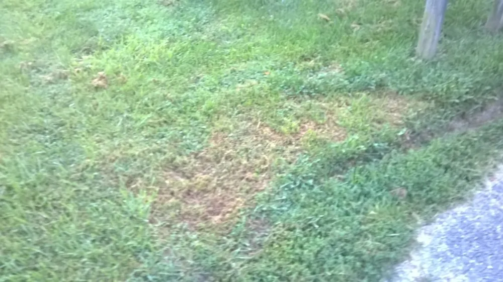 Local lawn mowing service in Christiansburg, VA - Randy's Lawn Services