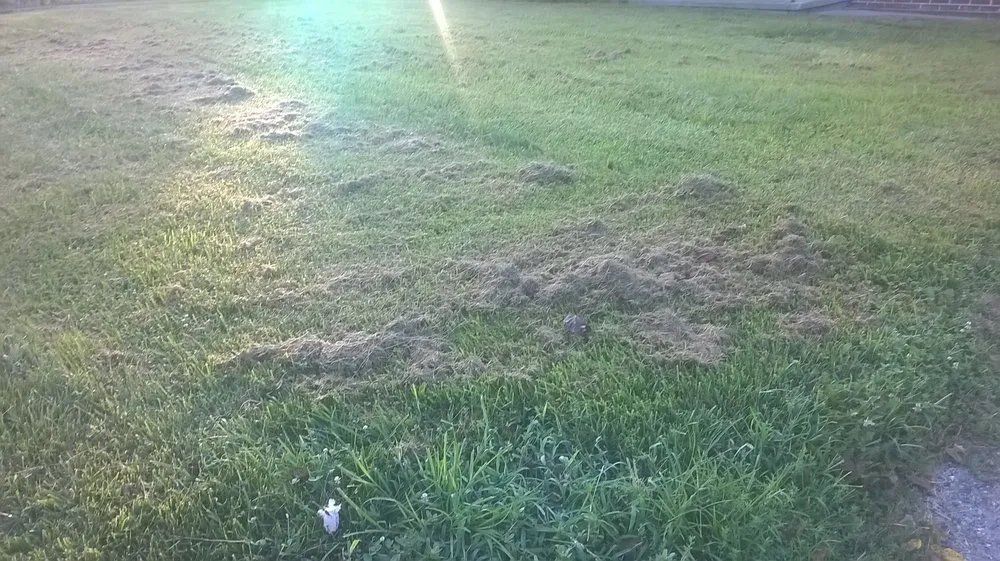 Custom outdoor landscaping in Christiansburg, VA - Randy's Lawn Services