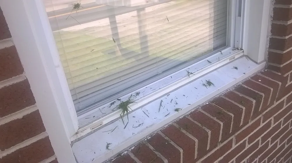 Trusted lawn mowing service for residential properties across Christiansburg, VA - Randy's Lawn Services