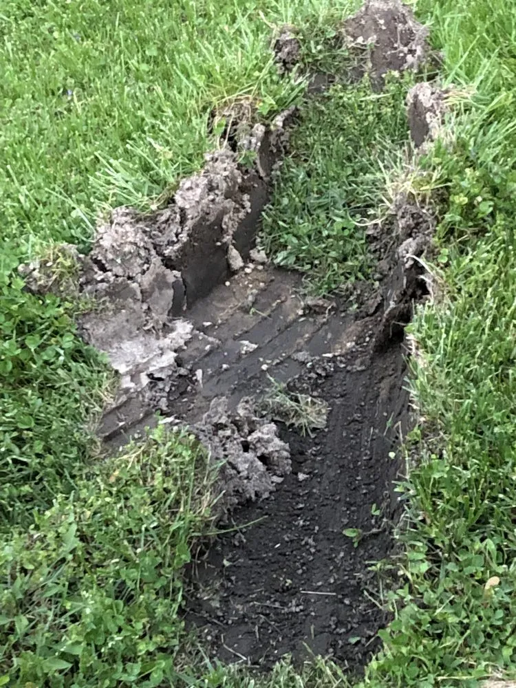 Trusted lawn care service for beautiful yards in Christiansburg, VA by Randy's Lawn Services