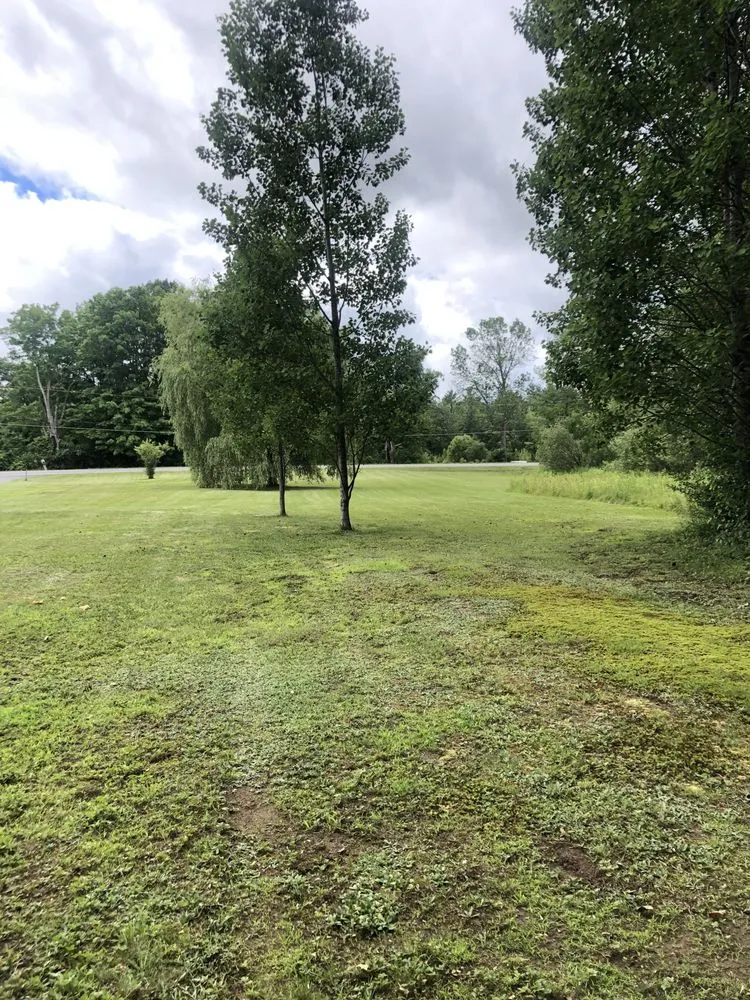 Local residential landscaping in Broadalbin, NY - Randys Mowing Services