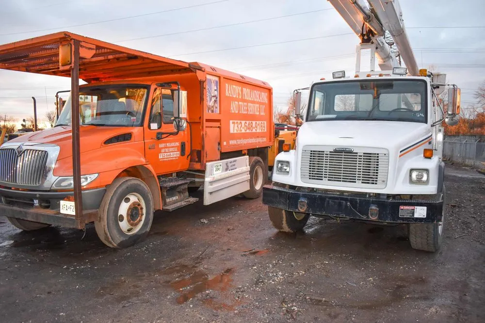 Top-rated landscape design for homes in Piscataway, NJ by Randy's Pro Landscaping & Tree Service