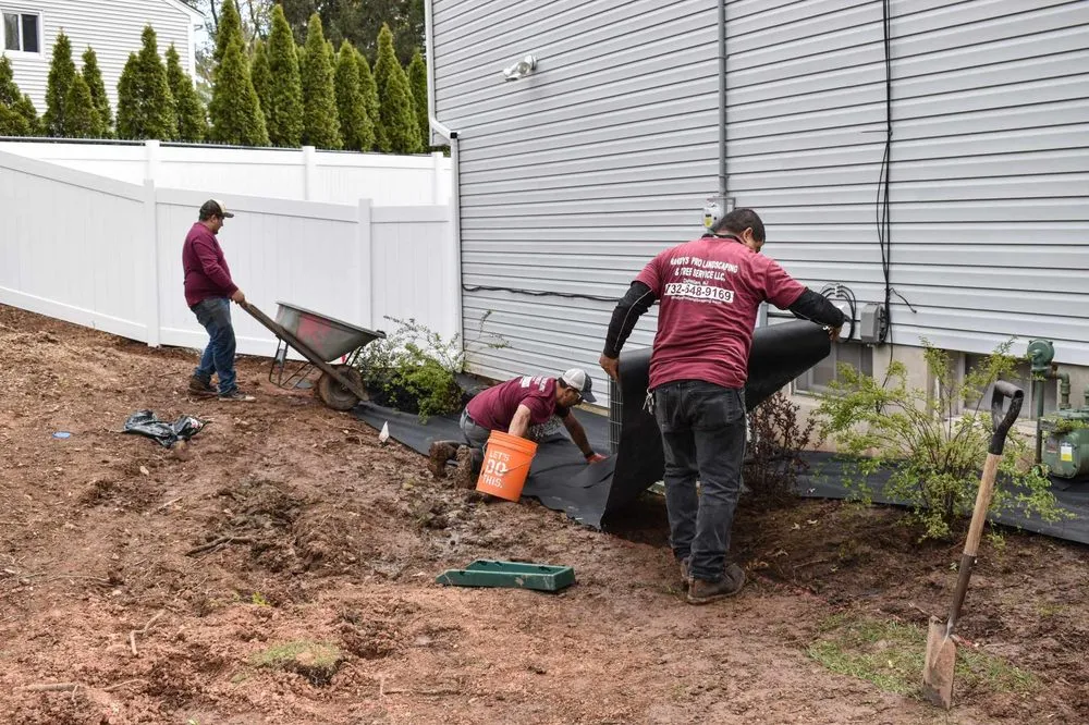 Local yard cleanup service experts serving Piscataway, NJ - Randy's Pro Landscaping & Tree Service