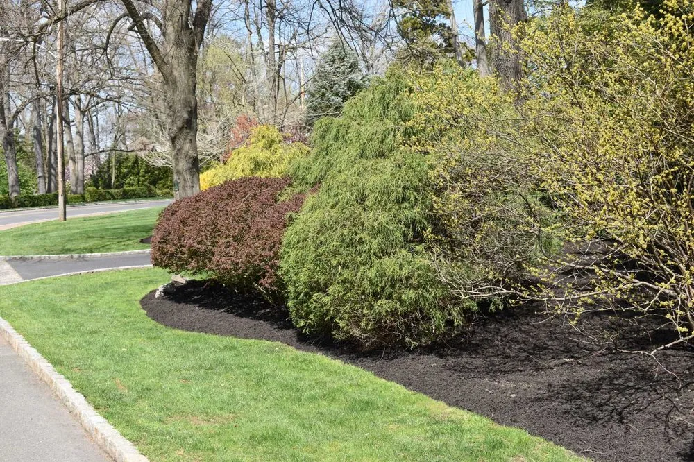 Affordable outdoor landscaping in Piscataway, NJ - Randy's Pro Landscaping & Tree Service
