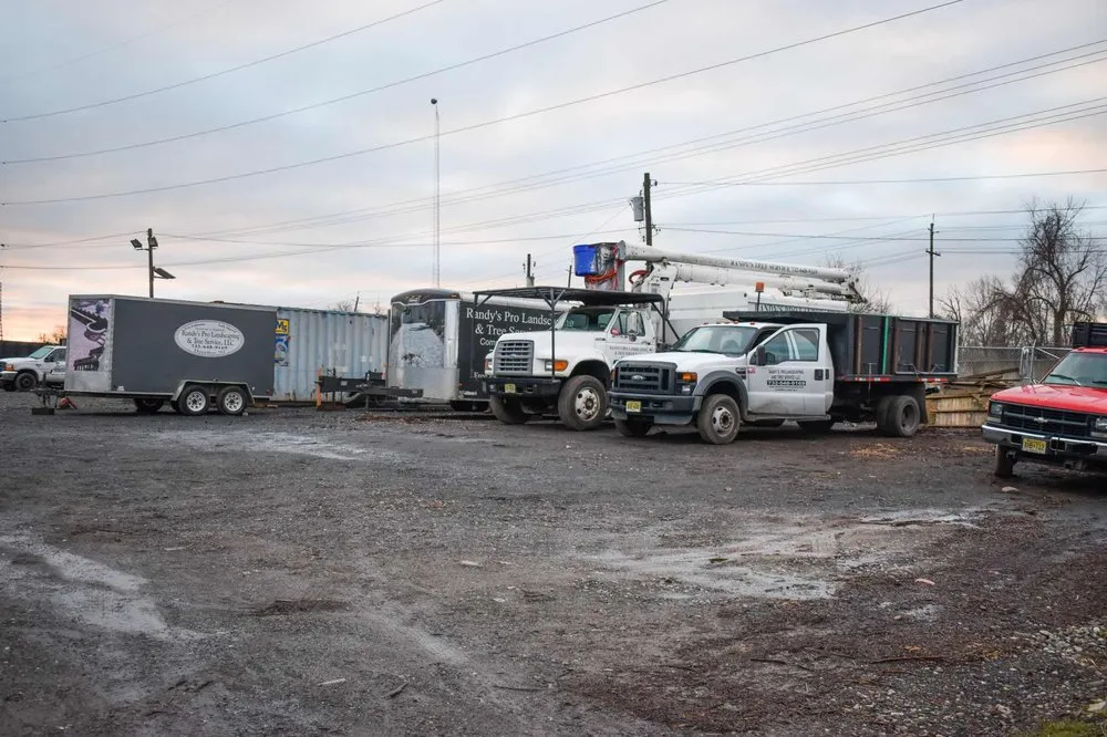 Custom lawn care service in Piscataway, NJ - Randy's Pro Landscaping & Tree Service