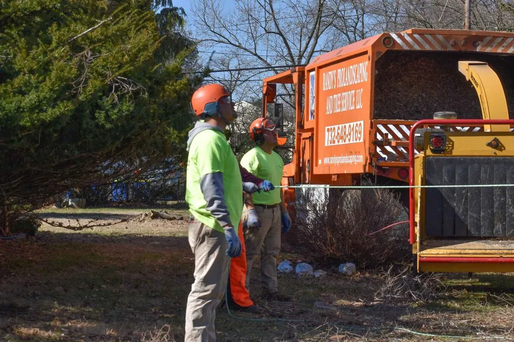 Trusted yard maintenance in Piscataway, NJ - Randy's Pro Landscaping & Tree Service