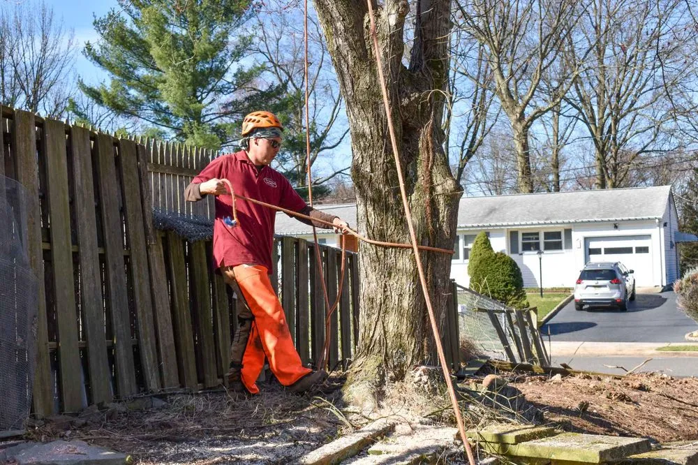 Top-rated landscape design for beautiful yards across Piscataway, NJ - Randy's Pro Landscaping & Tree Service