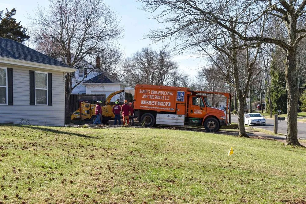 Reliable lawn mowing service experts serving Piscataway, NJ - Randy's Pro Landscaping & Tree Service