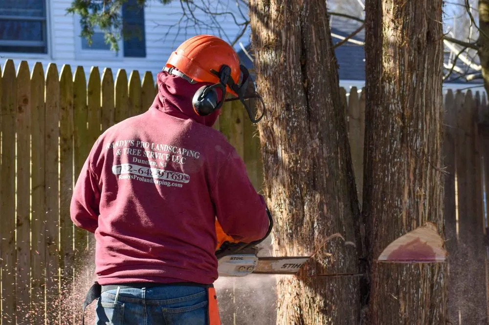 Local outdoor landscaping in Piscataway, NJ by Randy's Pro Landscaping & Tree Service