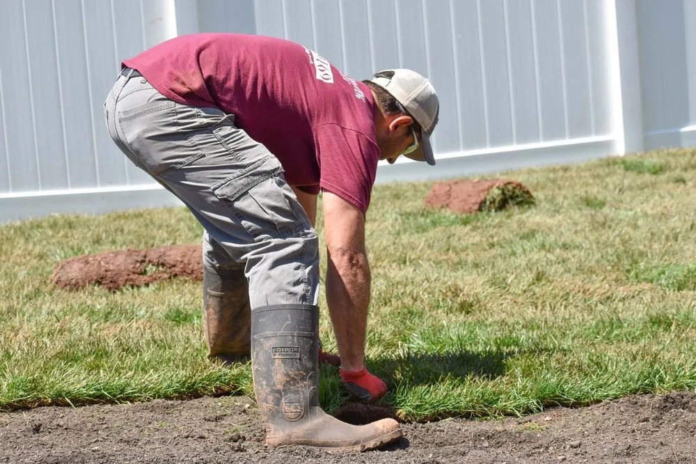 Local lawn care service for beautiful yards across Piscataway, NJ - Randy's Pro Landscaping & Tree Service