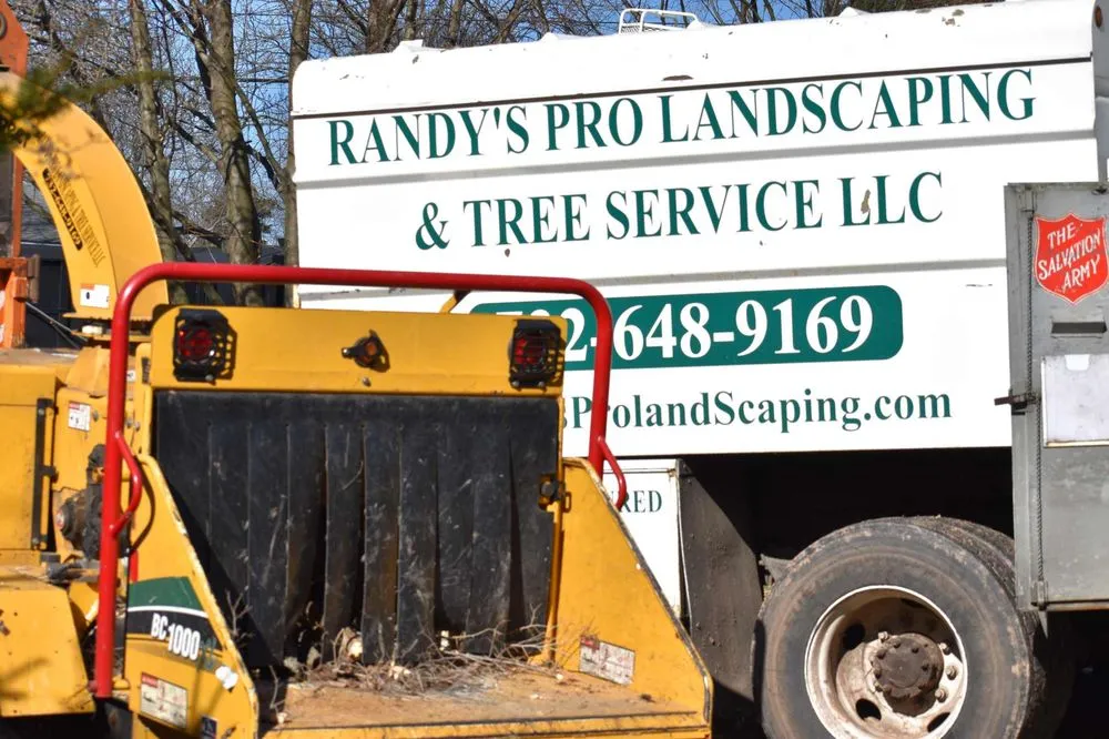 Local yard cleanup service for beautiful yards across Piscataway, NJ - Randy's Pro Landscaping & Tree Service