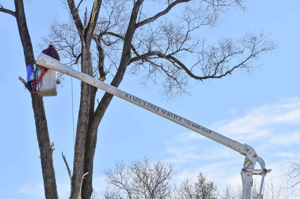 Professional garden landscaping for residential properties across Piscataway, NJ - Randy's Pro Landscaping & Tree Service