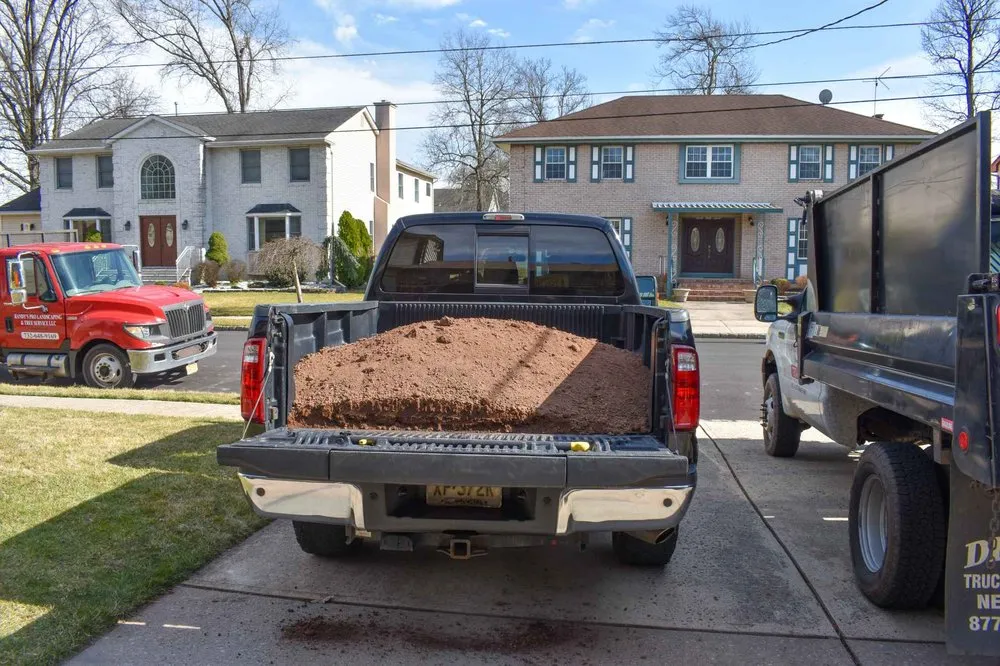 Affordable yard cleanup service in Piscataway, NJ - Randy's Pro Landscaping & Tree Service