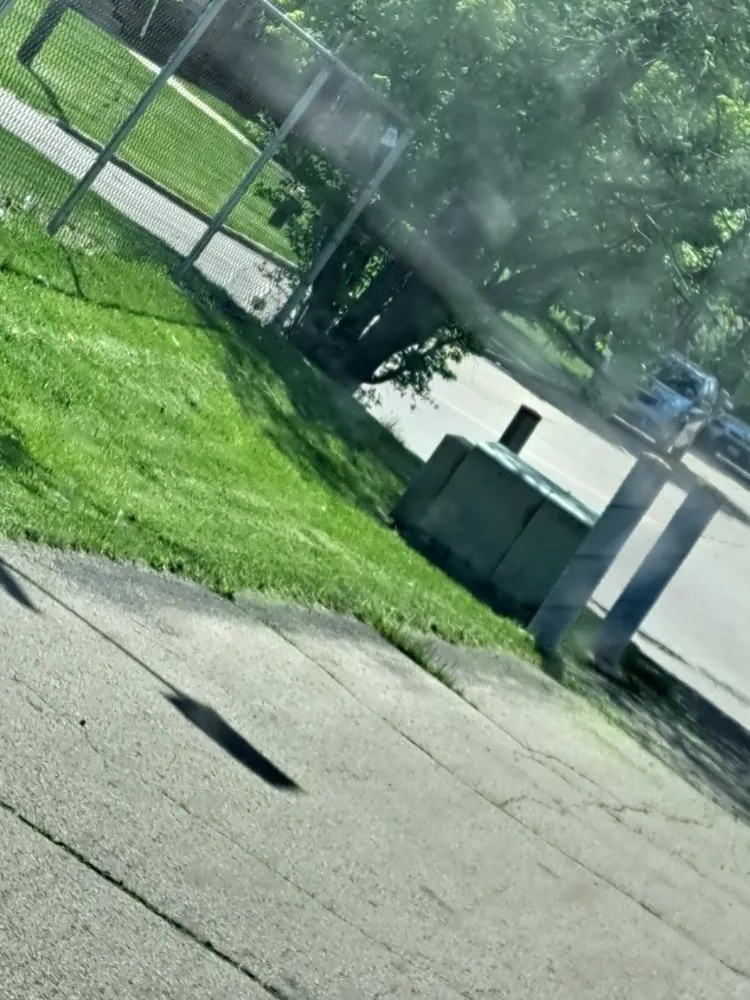 Professional yard cleanup service experts serving Racine, WI - Randy's Service's