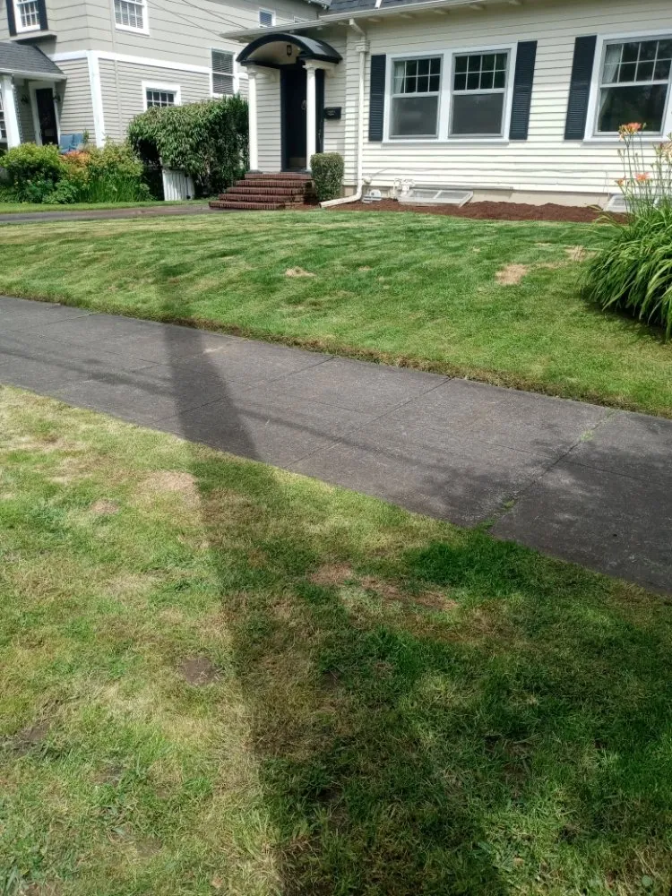 Local lawn care service for beautiful yards across Milwaukie, OR - ranferpas lanscaping