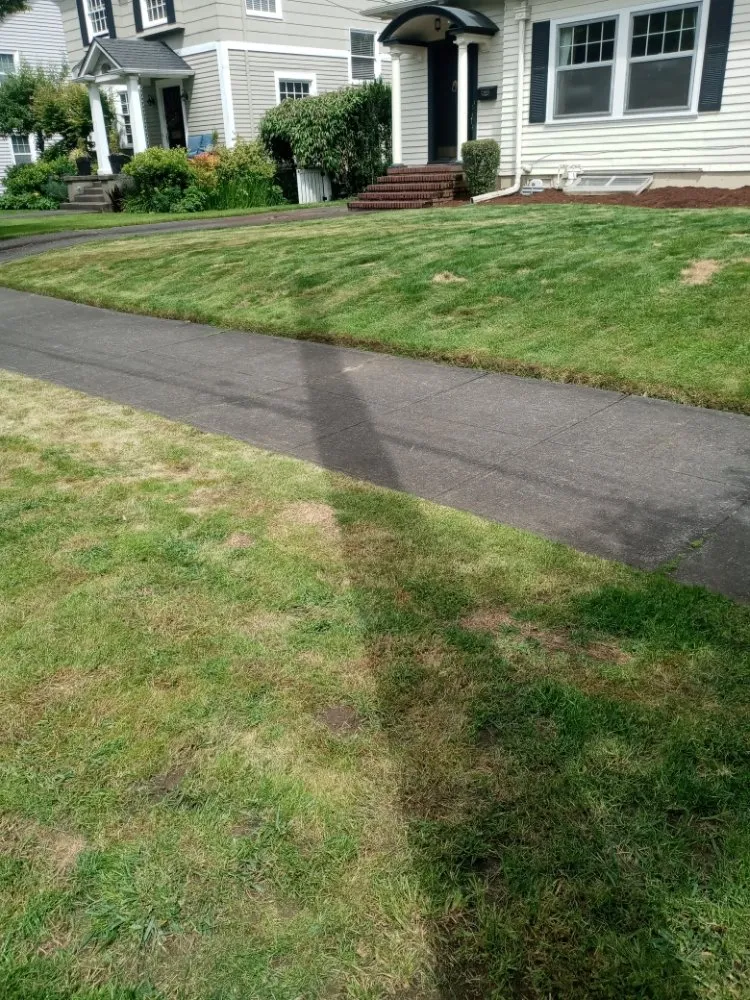 Expert landscape installation in Milwaukie, OR - ranferpas lanscaping