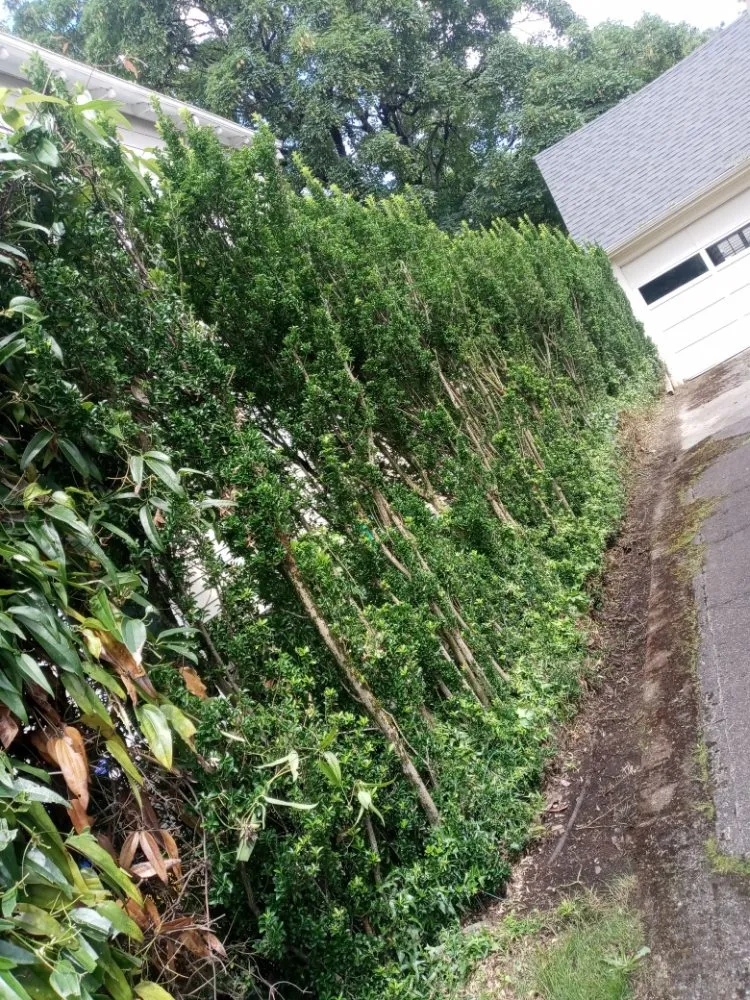 Local landscaping services near you across Milwaukie, OR - ranferpas lanscaping