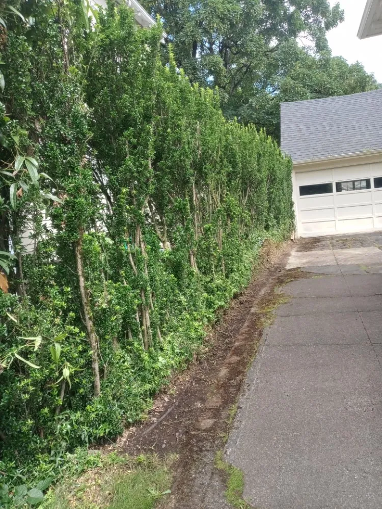 Reliable landscaping services for homes across Milwaukie, OR - ranferpas lanscaping