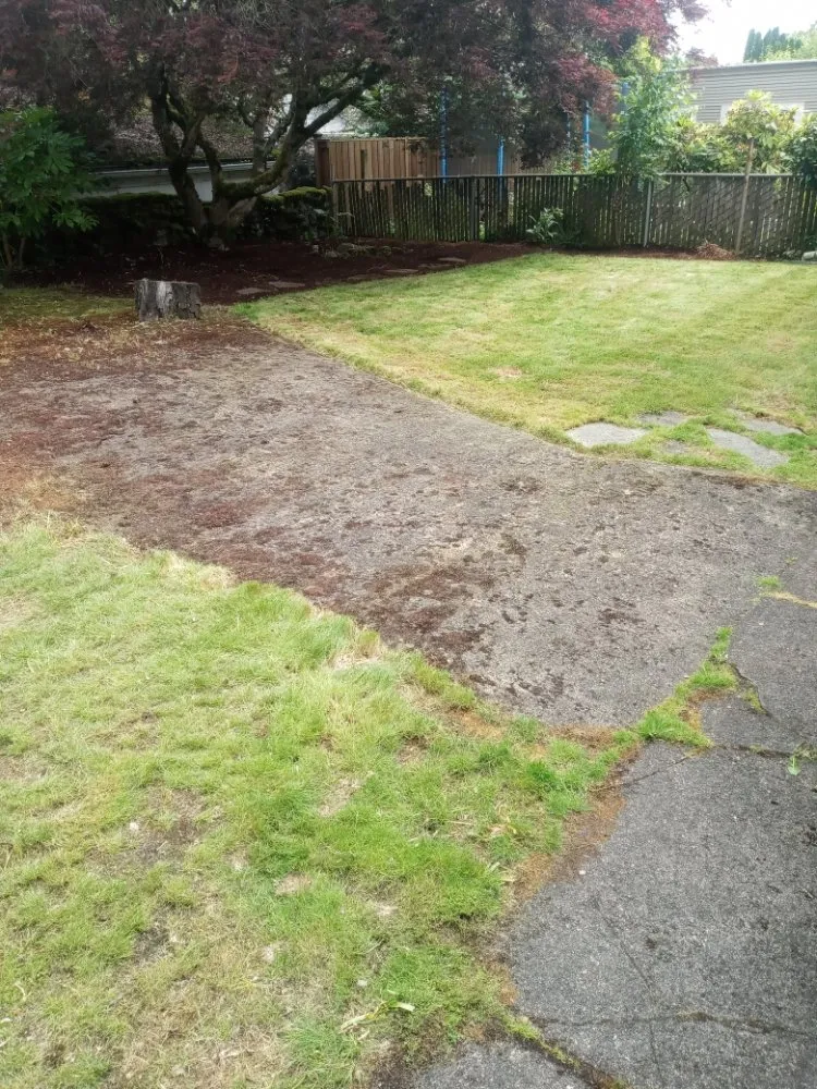Professional landscape installation for homes across Milwaukie, OR - ranferpas lanscaping